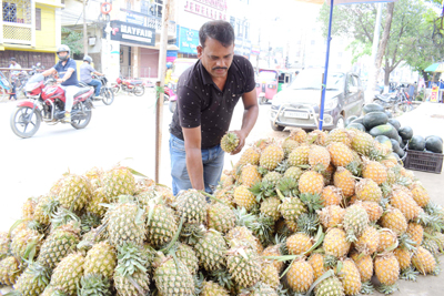 Pineapples of different varieties started arriving in Agartala markets on March 30.