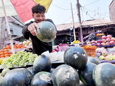 Fresh Water Melons arrive in fruit markets of Agartala on February 16.
