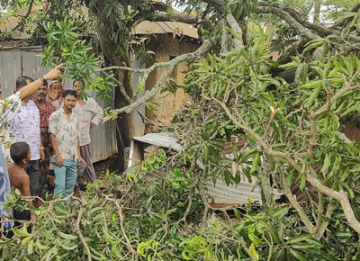 Several trees uprooted due to Norwester heavy storm in Lankamura area of Agartala on May 24.