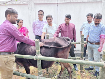 Veterinary Doctors Association organised a health camp for livestock at Seva Dham area of Agartala on March 15.
