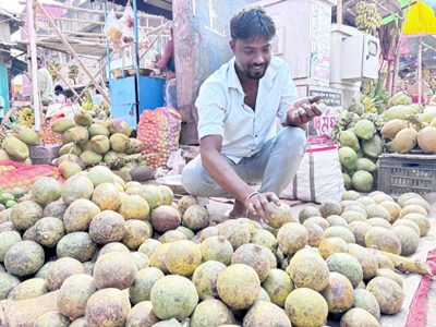 Wood apples are being sold in markets of Agartala on February 14 ahead of Shiv Chaturdashi festival.