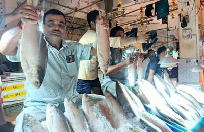 Hilsa fish sales surge in Agartala markets ahead of Jamai Sashti on June 19.